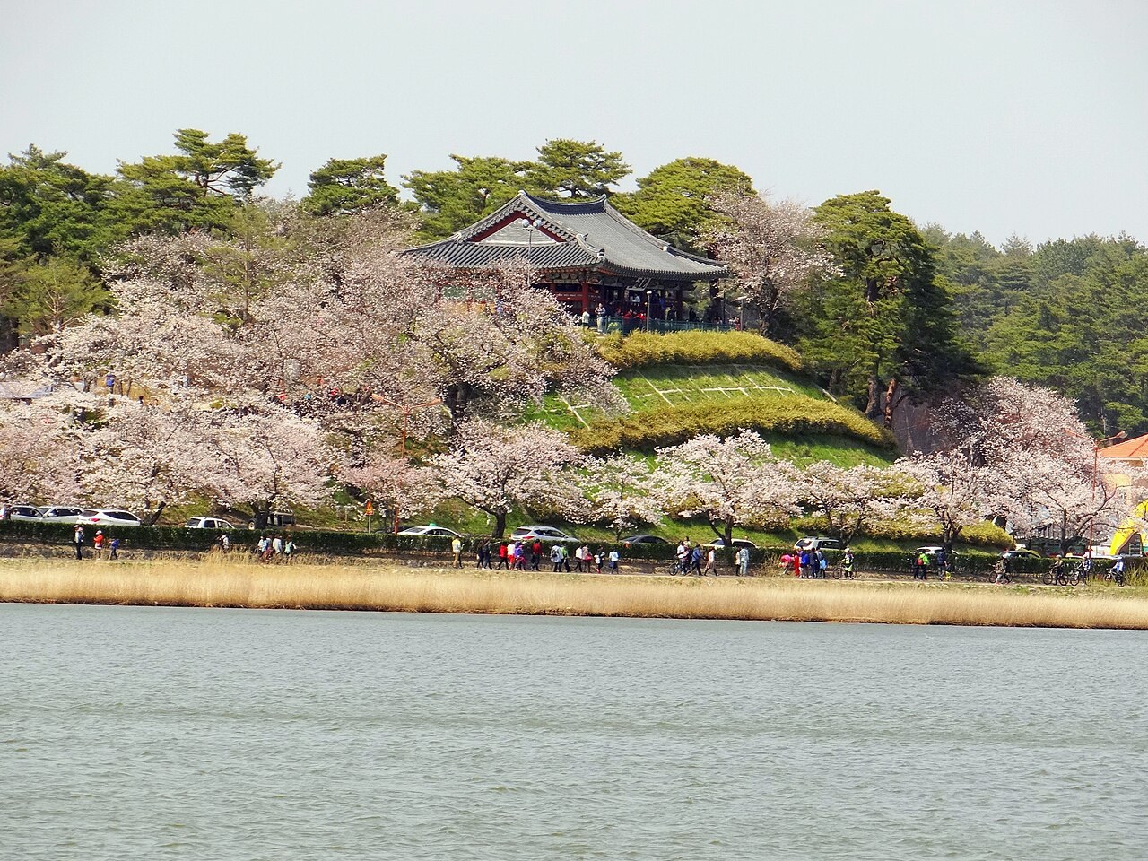 경포도립공원 모습 (위키미디어 공용 사진)