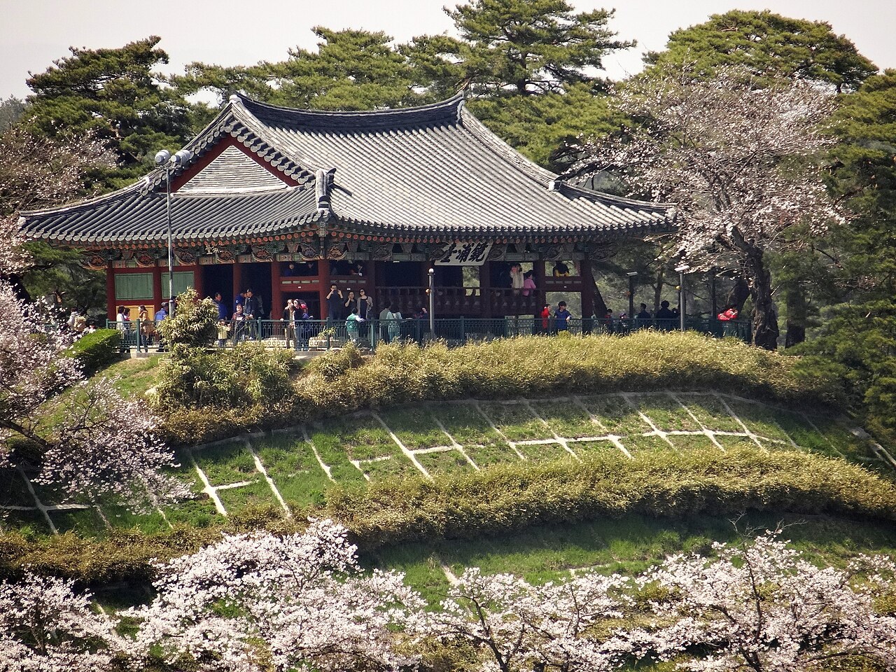 강릉 경포대 사진