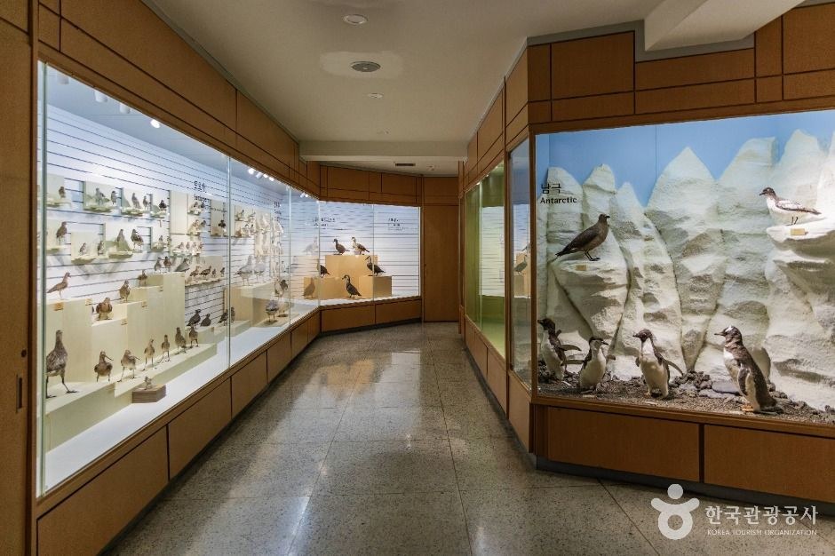 경희대학교 자연사박물관 모습 (한국관광공사 사진)