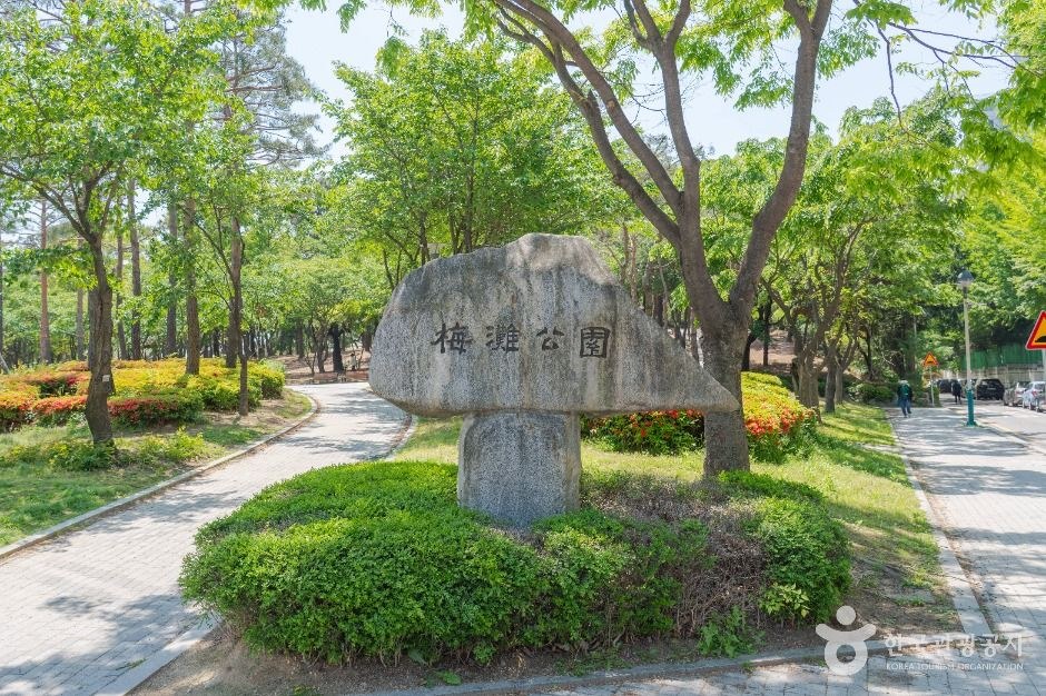매탄공원 모습 (한국관광공사 사진)