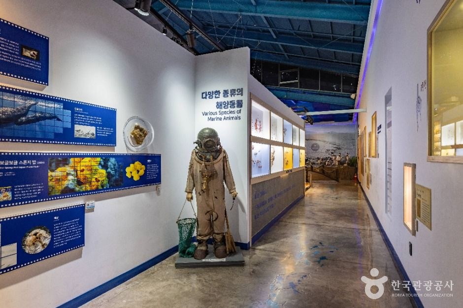 제주해양동물박물관 모습 (한국관광공사 사진)