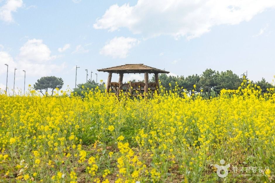 하늘정원 모습 (한국관광공사 사진)
