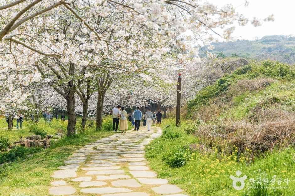 대왕수천예래생태공원 모습 (한국관광공사 사진)