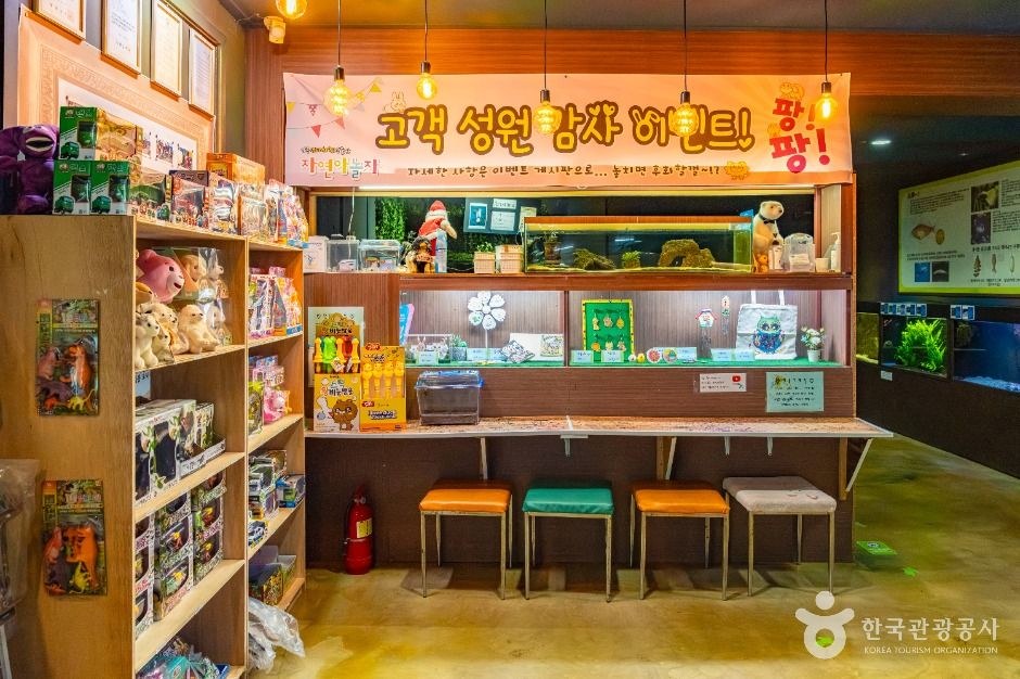 강릉생태체험박물관 자연아놀자 모습 (한국관광공사 사진)