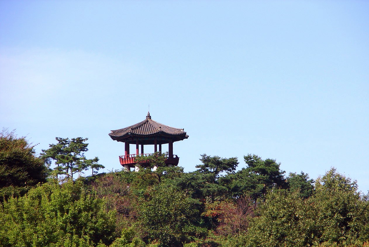 청풍문화재단지 언덕의 정자와 나무 (2007년)