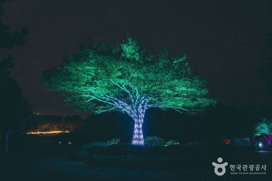 제주민속촌 모습 (한국관광공사 사진)